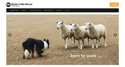 Desktop Screenshot of bcrofmn.org
